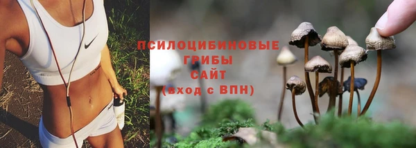 MESCALINE Корсаков