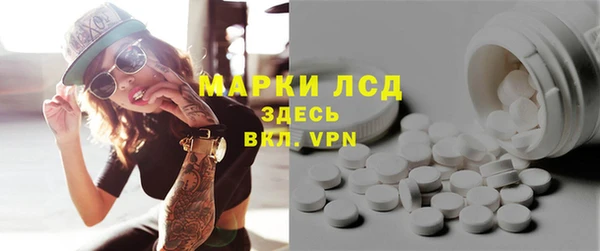 шишки Краснотурьинск