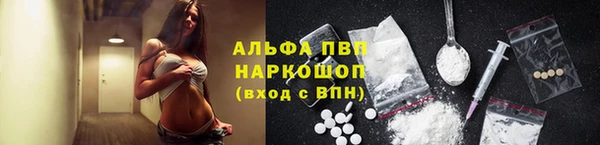 шишки Краснотурьинск