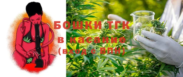шишки Краснотурьинск