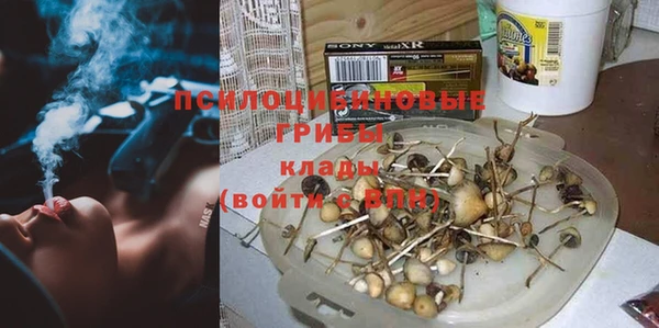 шишки Краснотурьинск