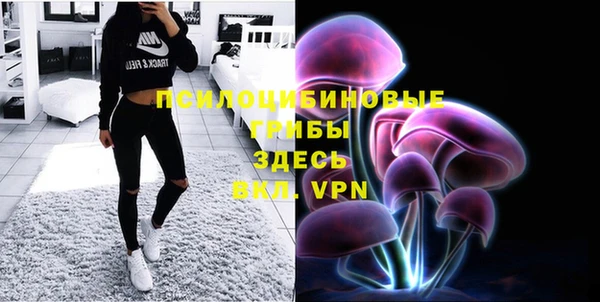 шишки Краснотурьинск
