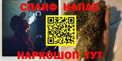 гидра Гай