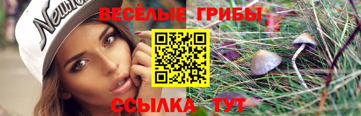 Псилоцибиновые грибы MAGIC MUSHROOMS  Вход с VPN  Псилоцибиновые грибы прущие грибы  Керчь 