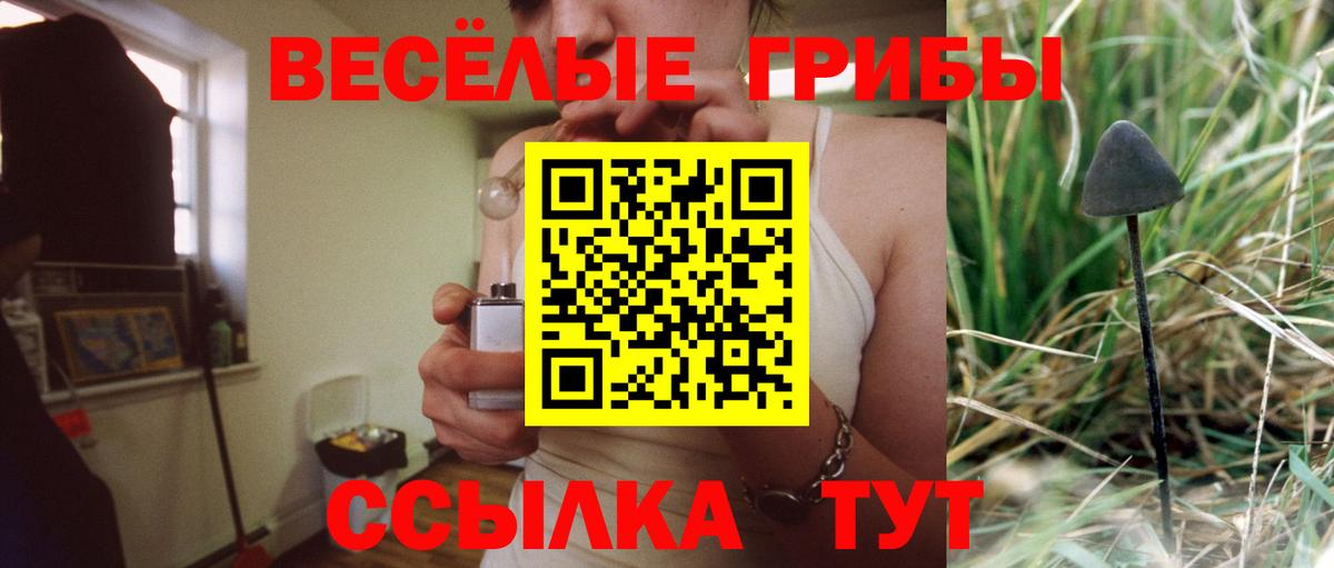 Псилоцибиновые грибы MAGIC MUSHROOMS Керчь